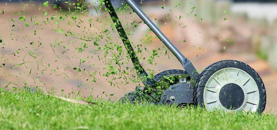 Should I Leave Grass Clippings on My Lawn in the UK?