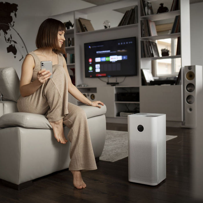 How Long Does It Take for a Dehumidifier to Reduce Humidity? - InStock