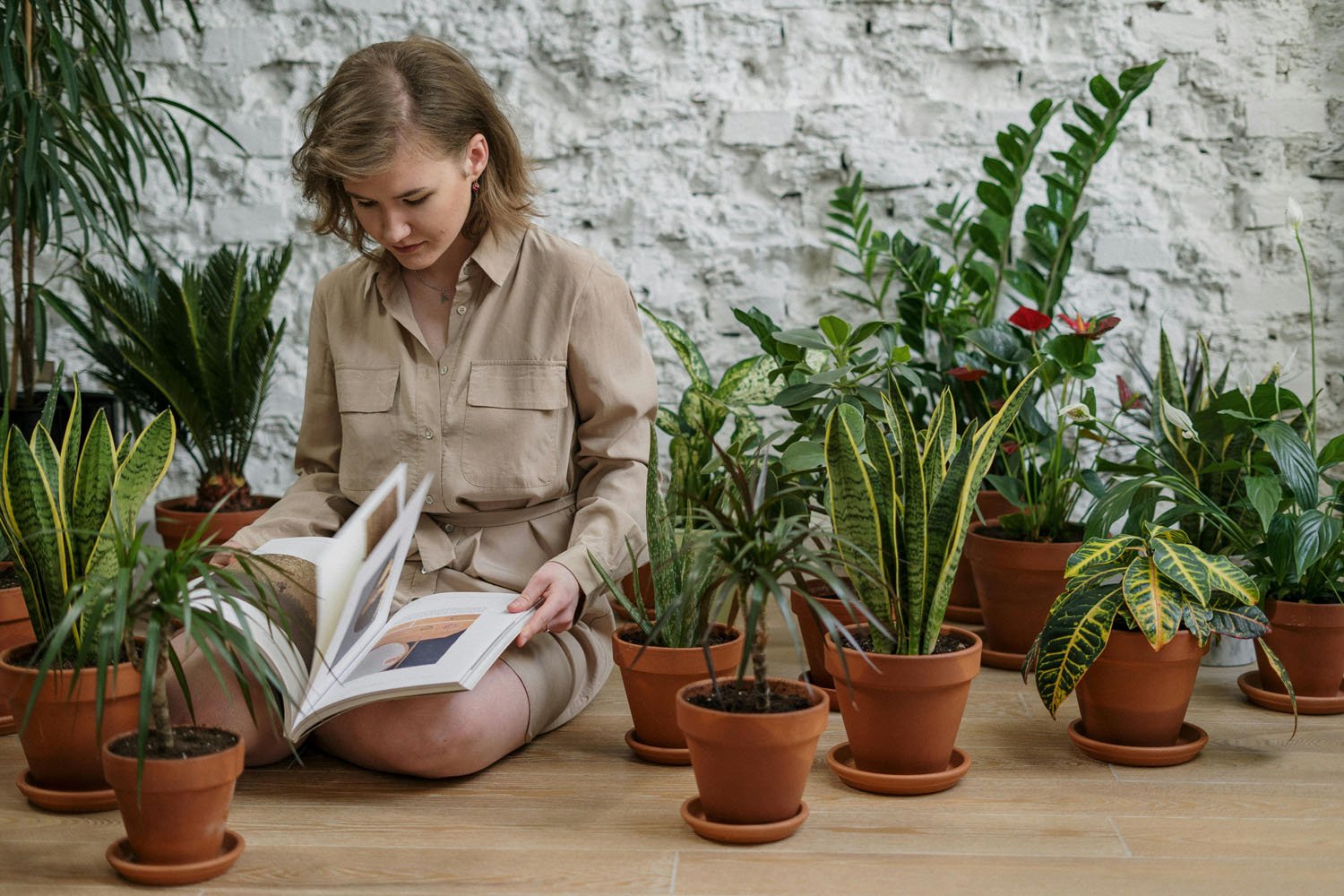 How to keep indoor plants healthy in winter? - InStock