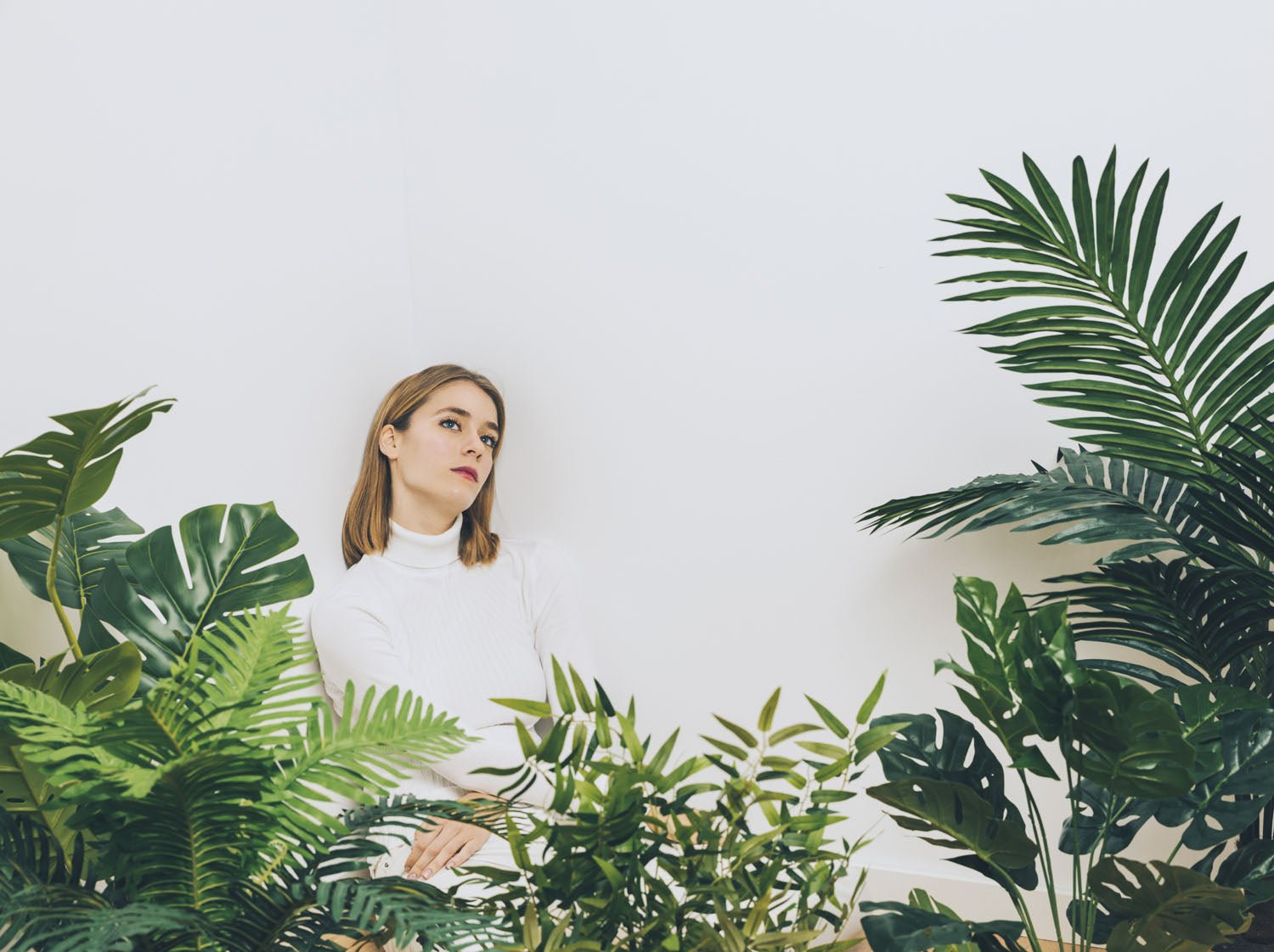 How to make indoor plant leaves greener? - InStock