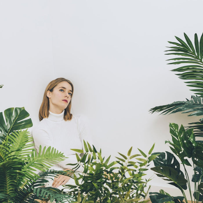 How to make indoor plant leaves greener? - InStock