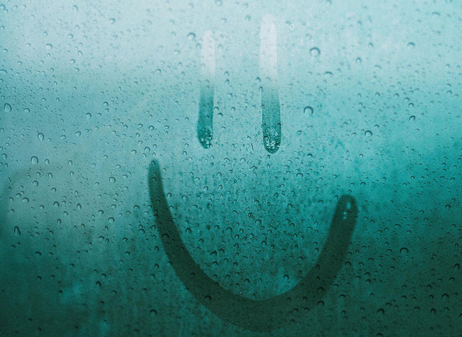 How to prevent condensation on windows overnight? - InStock