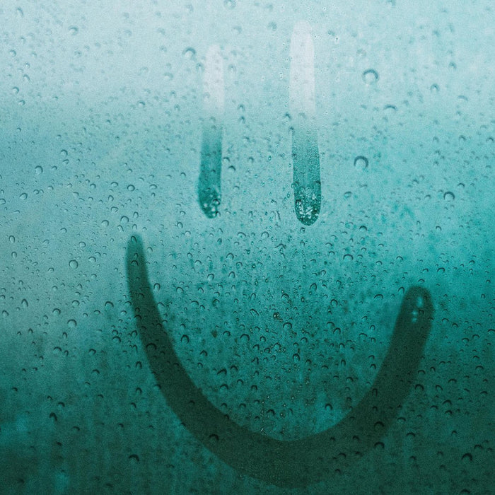 How to prevent condensation on windows overnight? - InStock