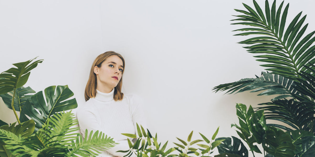 How to make indoor plant leaves