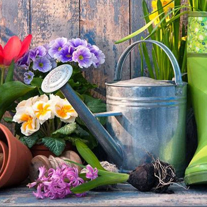 New Department Open. Shop: Garden - InStock