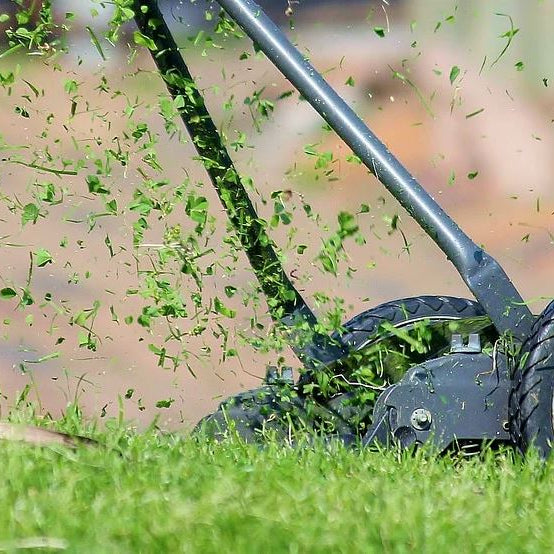 Should I Leave Grass Clippings on My Lawn in the UK? - InStock