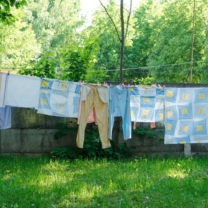 What is the most economical way to dry clothes? - InStock