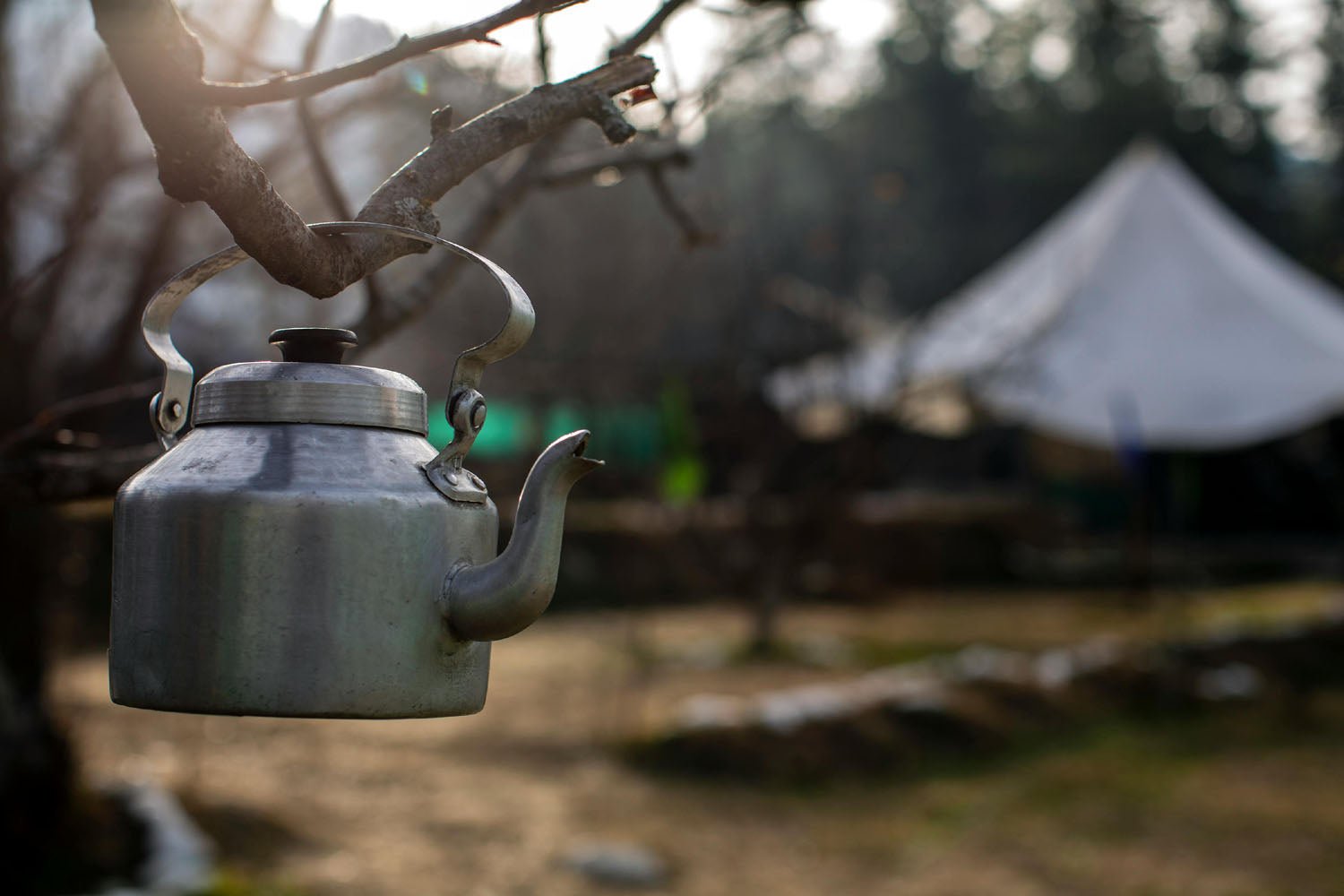 What is the most energy efficient way to boil a kettle? - InStock