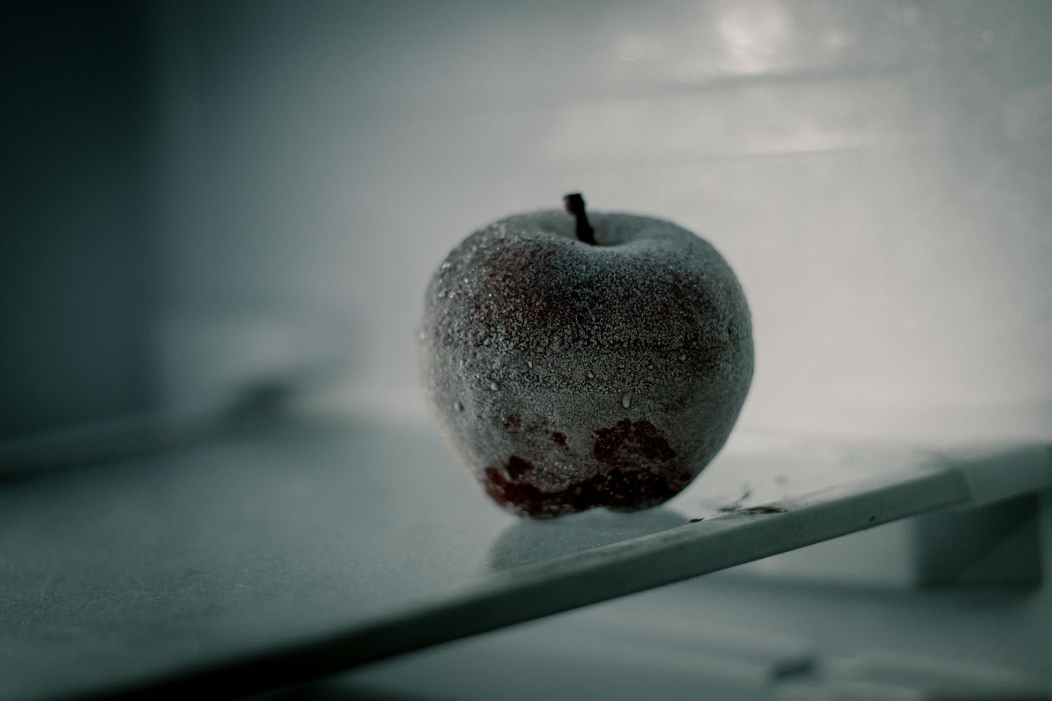 Why is My Fridge Suddenly Freezing Everything? - InStock