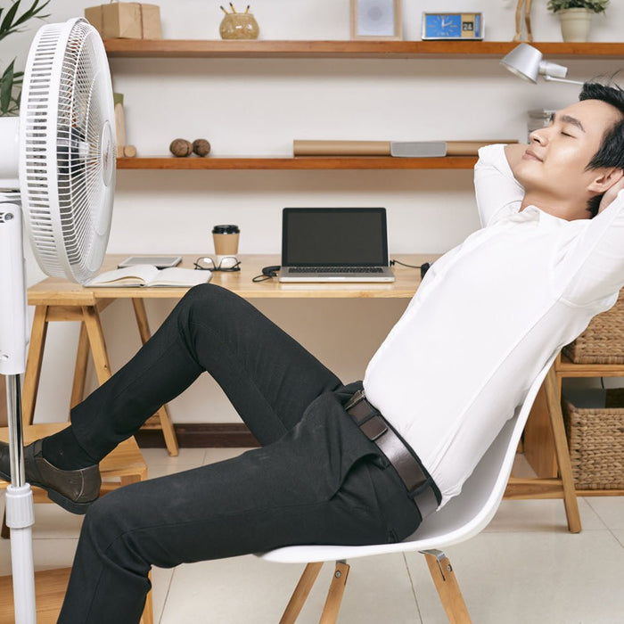 Why is my standing fan making noise? - InStock
