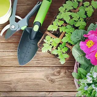 Garden - InStock