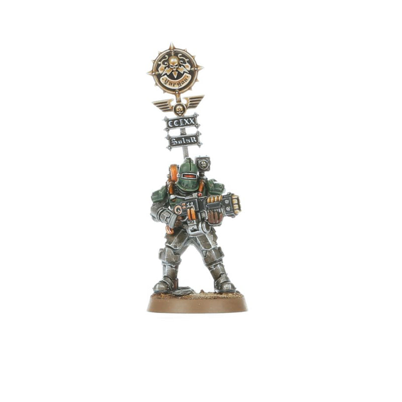 Solar Auxilia: Veletaris Storm Section