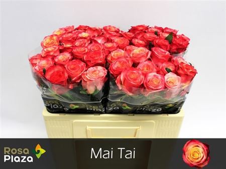 Rose Mai Tai