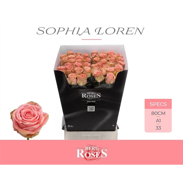 Rose Sophia Loren