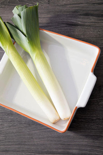 Terracotta White Glazed Oven to Table Dish | Calisto