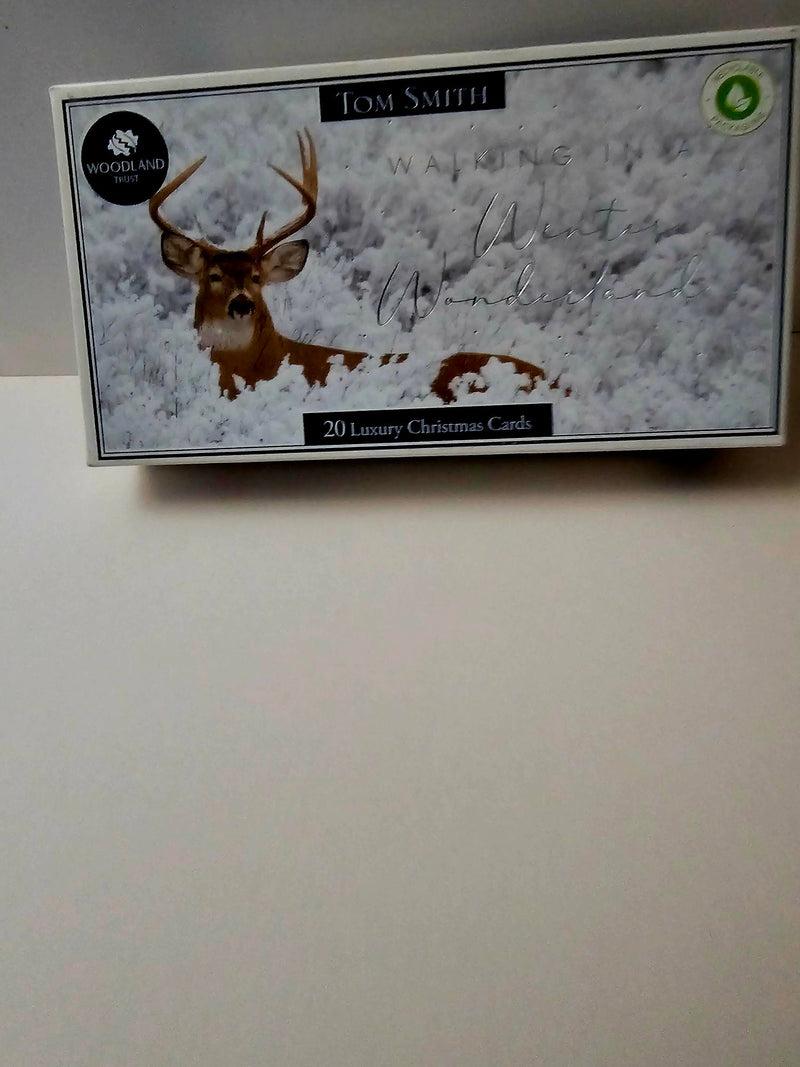 tom smith   walking in a winter wonderland  boxed cards