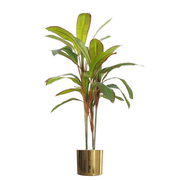 100cm Artificial Potted Dracaena Tropical Plant with Gold Metal Planter - InStock
