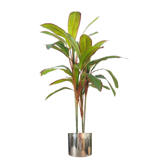 100cm Artificial Potted Dracaena Tropical Plant with Silver Metal Plater - InStock