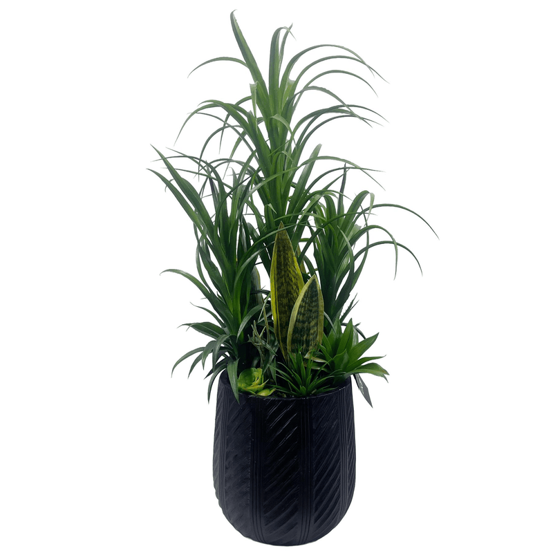 100cm Artificial Yukka Display in Pot Artificial - InStock