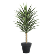 100cm Artificial YukkaTree in Pot Artificial - InStock