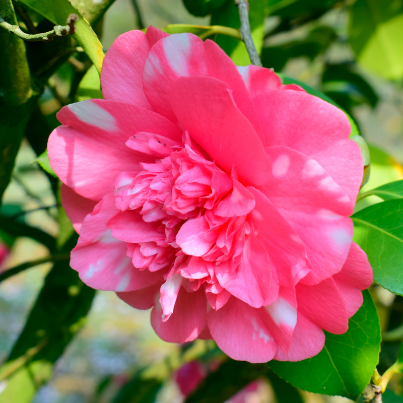 1068888b-bf3b-4dcb-ab7f-531acbf959d0.png