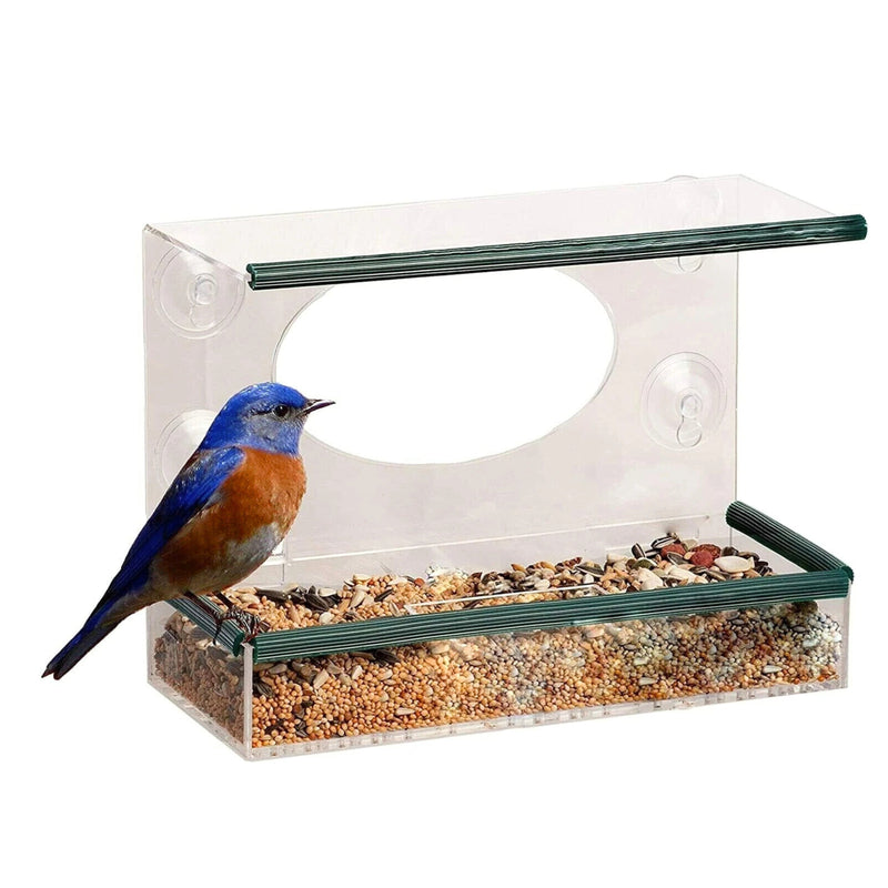 Window Bird Feeder Clear Perspex Suction Cup Wildlife Feeding Tray