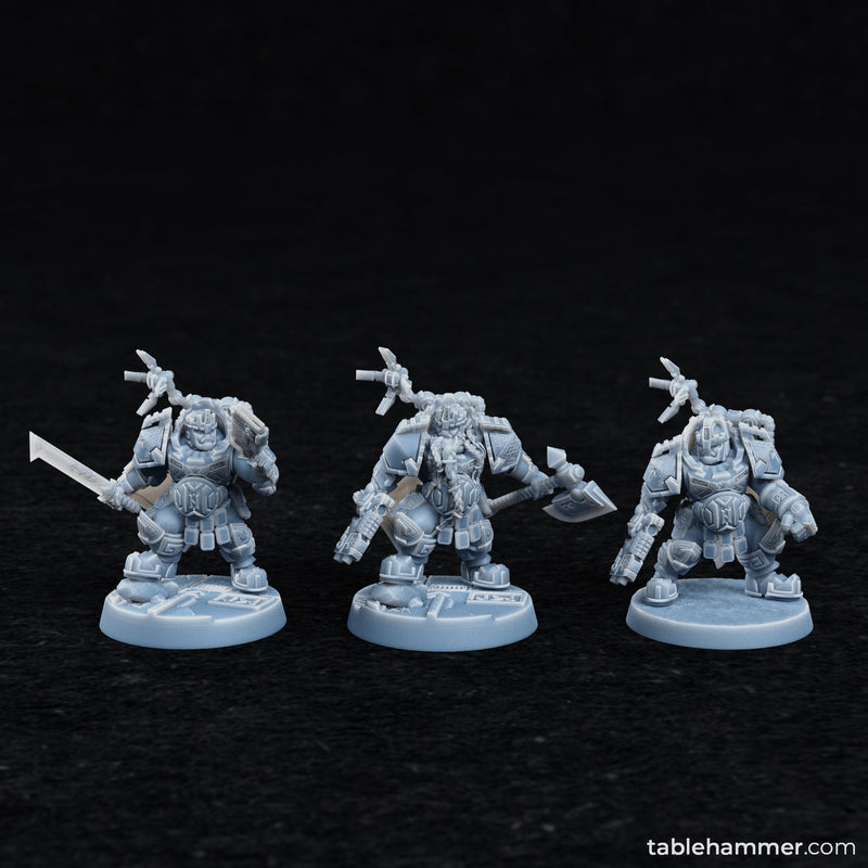 Hågen Hogslayer – Dwarf king of the Federation