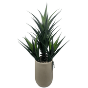 110cm Artificial Agave Tropical Display in Pot Artificial - InStock