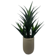 110cm Artificial Agave Tropical Display in Pot Artificial - InStock