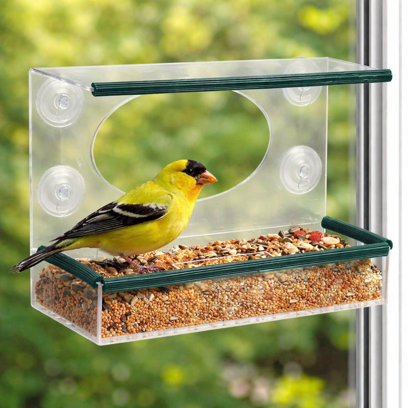 Window Bird Feeder Clear Perspex Suction Cup Wildlife Feeding Tray