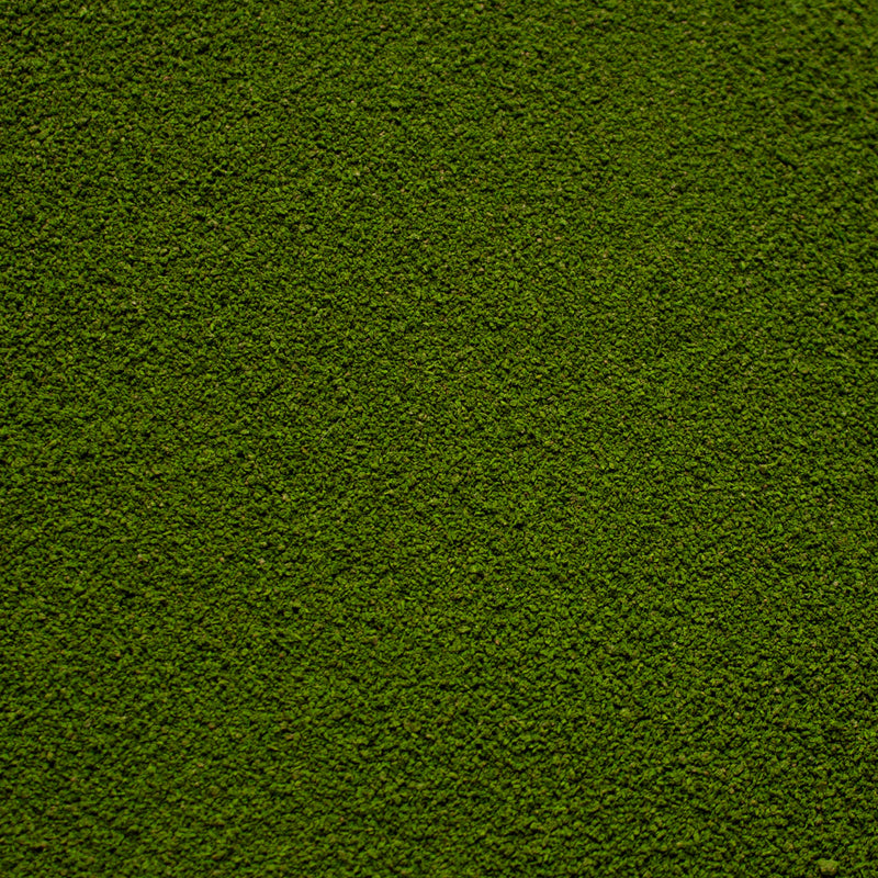 Fine Flock - Woodland Fern Light Green