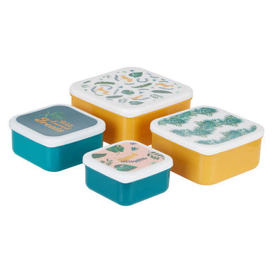 Set of 4 Winter Palm Lunch Boxes | Mimo