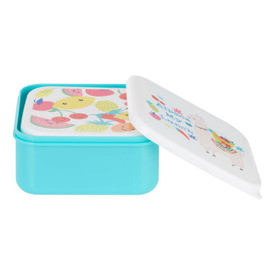 Set of 4 Fruity Alpaca Lunch Box | Mimo