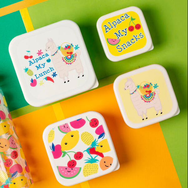 Set of 4 Fruity Alpaca Lunch Box | Mimo