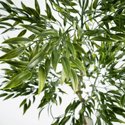 120cm UV Resistant Artificial Japanese Ficus Leaf Tree - InStock