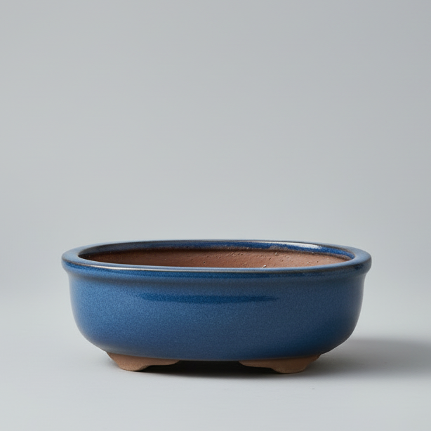 12cm Glazed Bonsai Pot | Oval | 12cm x 10cm x 5cm | Blue