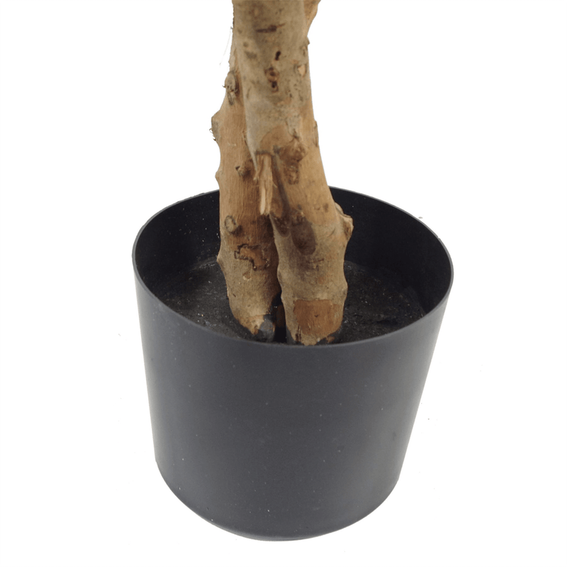 130cm Variegated White/Green Bushy Ficus Tree - InStock