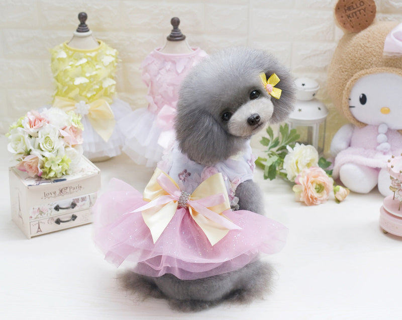 Teddy dog pet dress