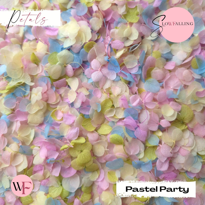 Snow Petal Confetti® - Pastel Party - REAL PETALS