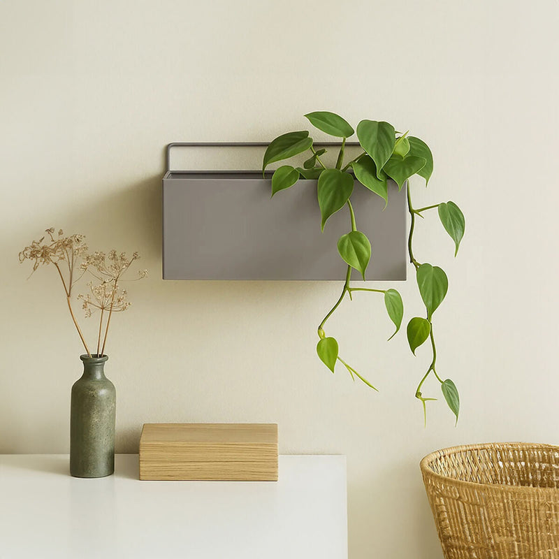 Wall Plant Box Grey | Asher