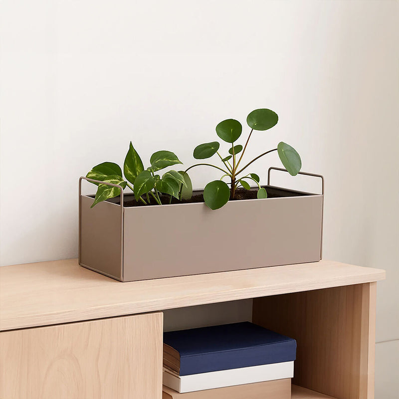 Large Natural Wall Plant Box | Asher