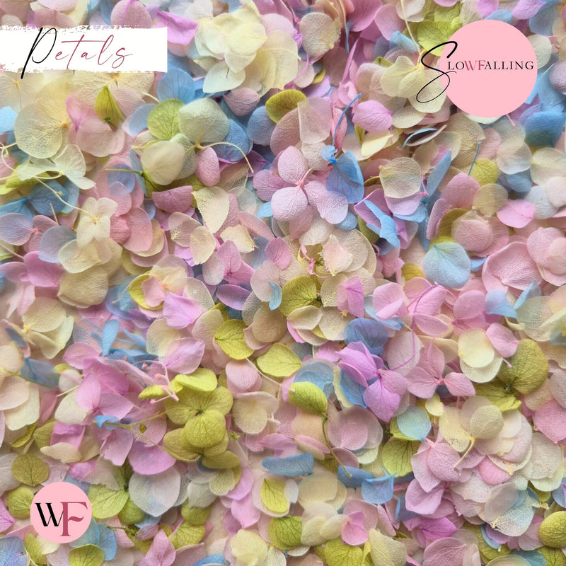 Snow Petal Confetti® - Pastel Party - REAL PETALS
