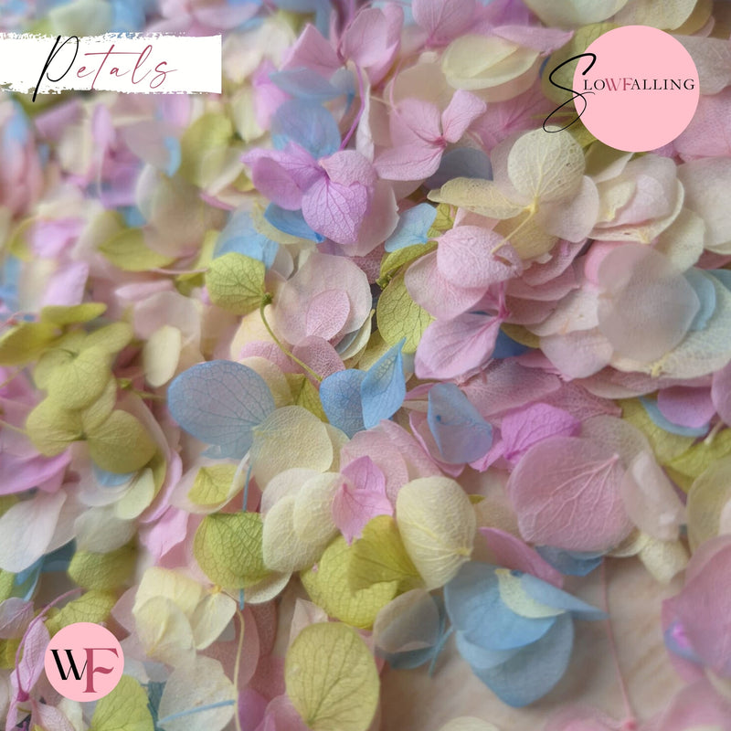 Snow Petal Confetti® - Pastel Party - REAL PETALS