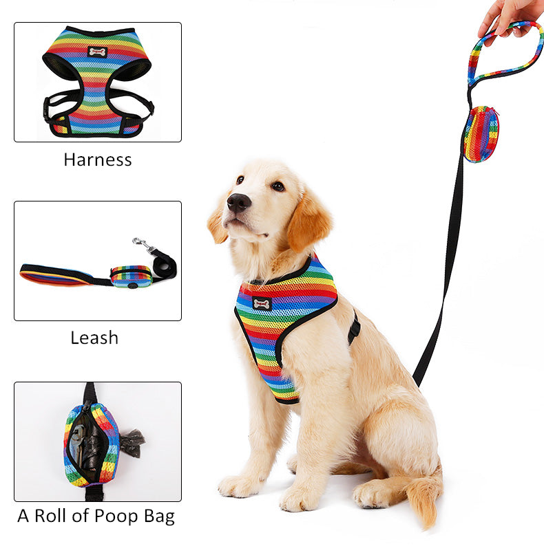 Rainbow chest strap