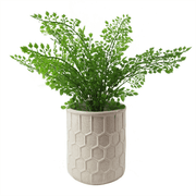 16cm White Honeycomb Ceramic Planter - InStock