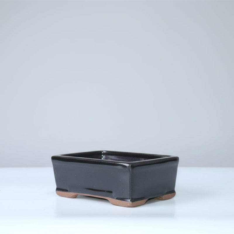 16cm Glazed Bonsai Pot | Rectangle | 16cm x 13cm x 6cm | Black