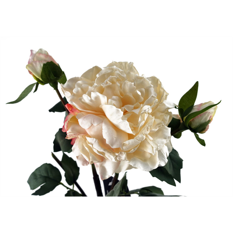 6 x 60cm Peony Artificial Flower Cream - 6 flowers 18 buds