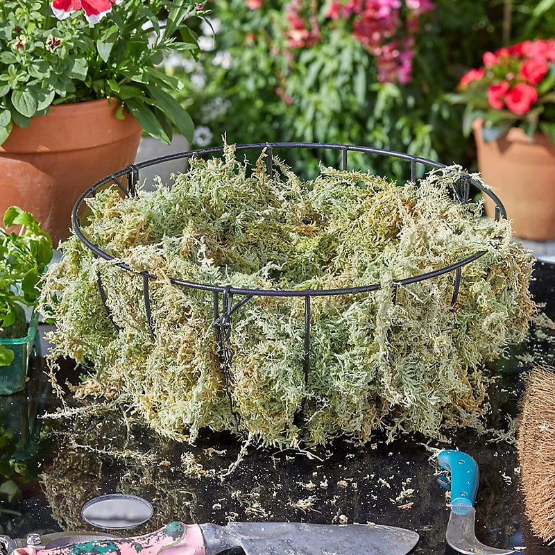 New Zealand Sphagnum Moss - Large