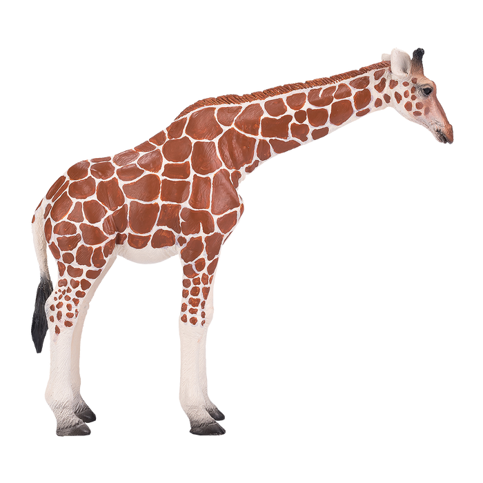Giraffe Female Toy Realistic African Wildlife Figure