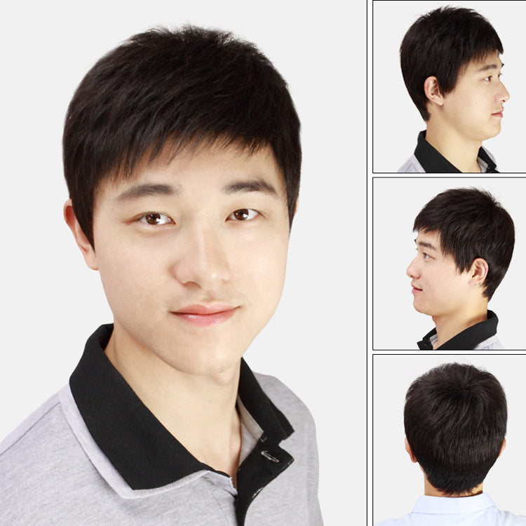 Fluffy Short Hair Wig